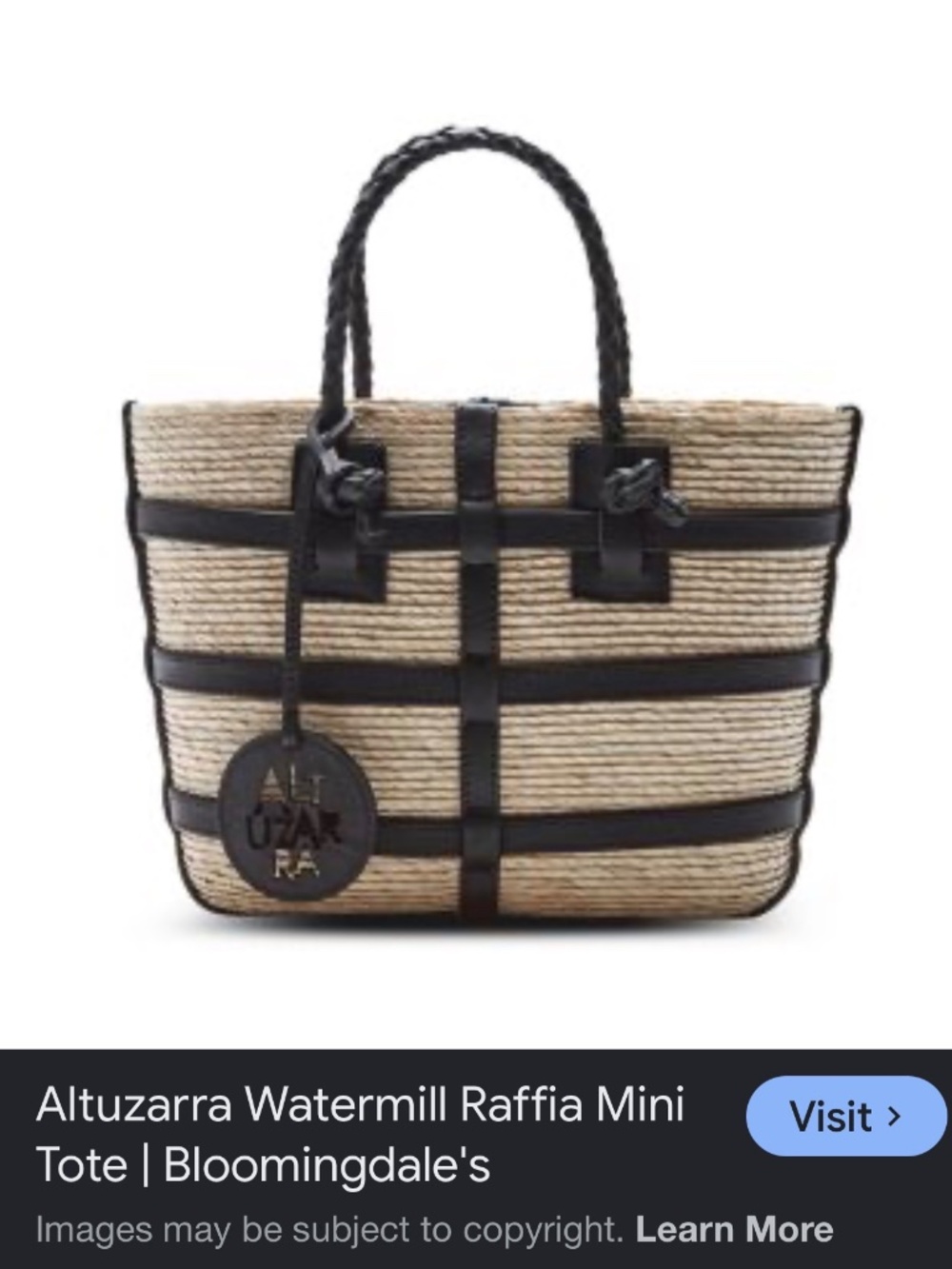 Altuzarra Watermill Raffia Mini